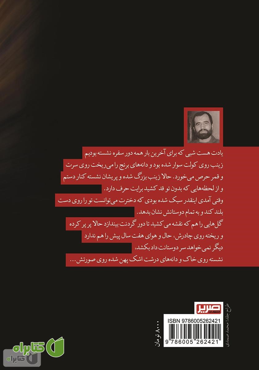 پشت جلد کتاب راز گمشده مجنون