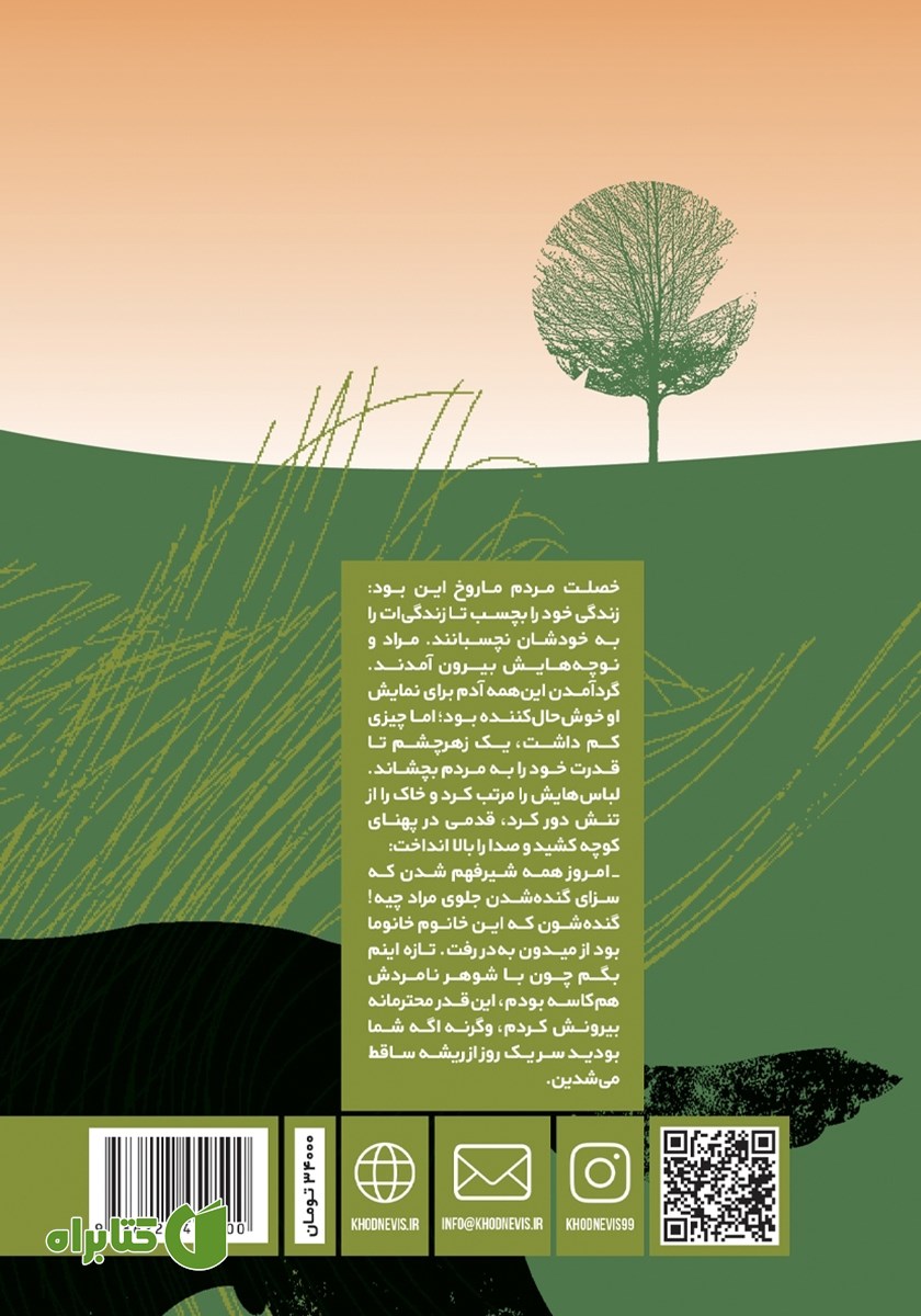 پشت جلد کتاب تپش خون