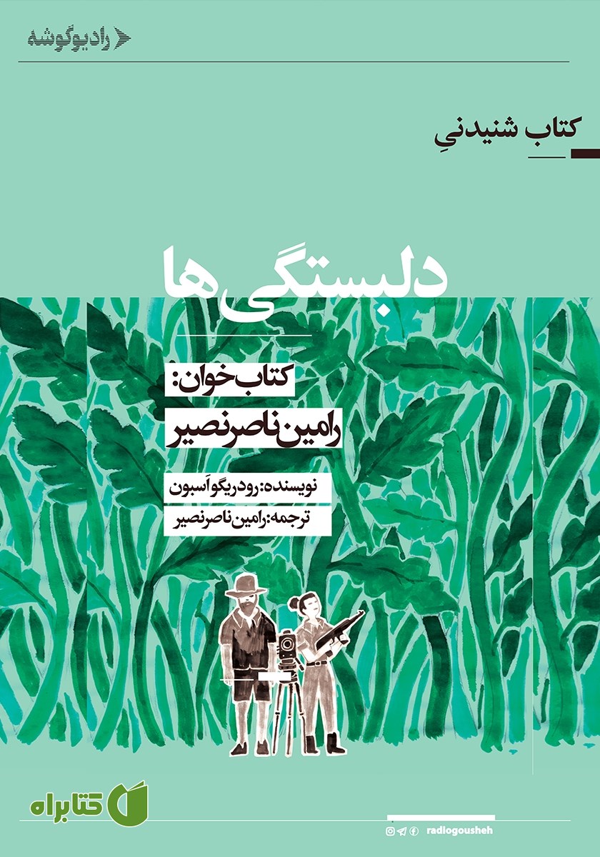 کتاب صوتی دلبستگی‌ها