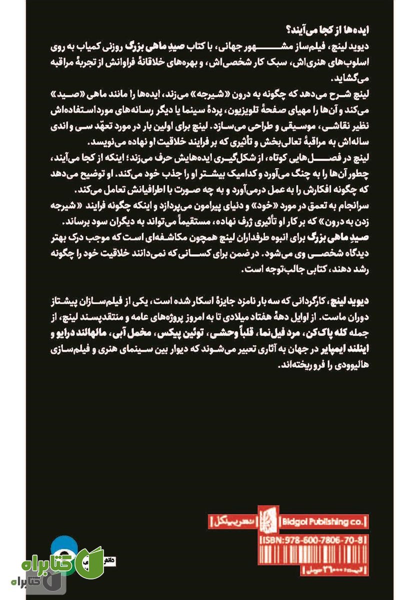 پشت جلد کتاب صید ماهی بزرگ: مراقبه، هوشیاری و خلاقیت