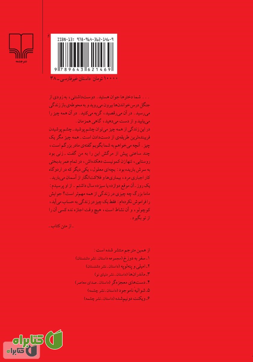 پشت جلد کتاب دیوانه بازی