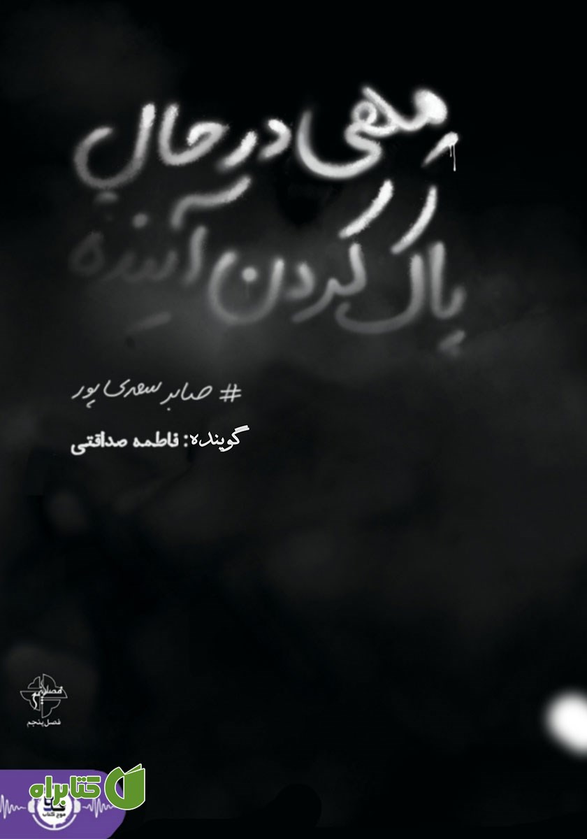 کتاب صوتی مهی در حال پاک کردن آینده