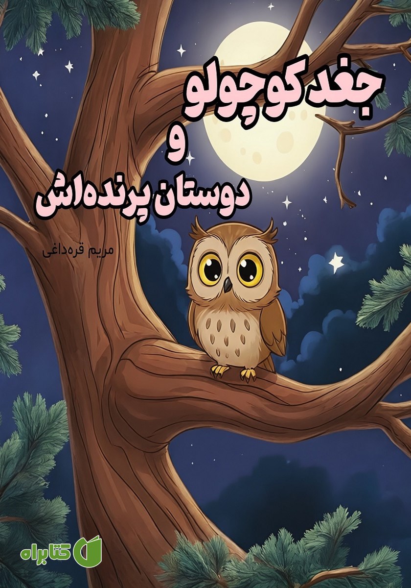 کتاب جغد کوچولو و دوستان پرنده‌اش