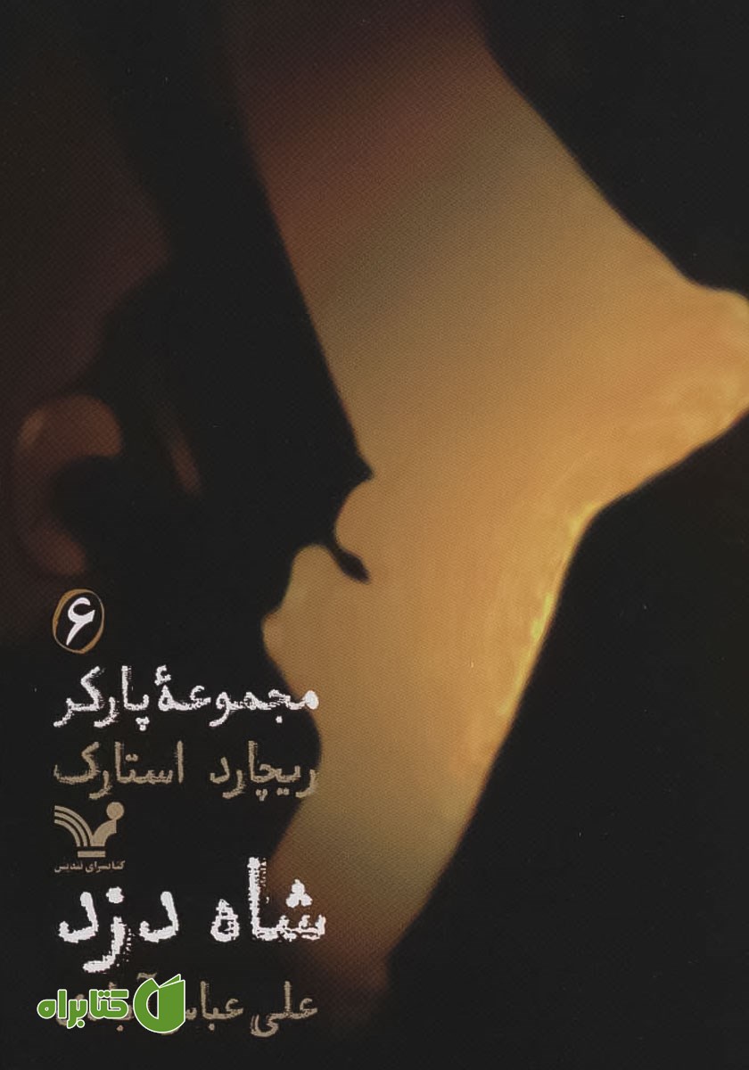 کتاب شاه دزد