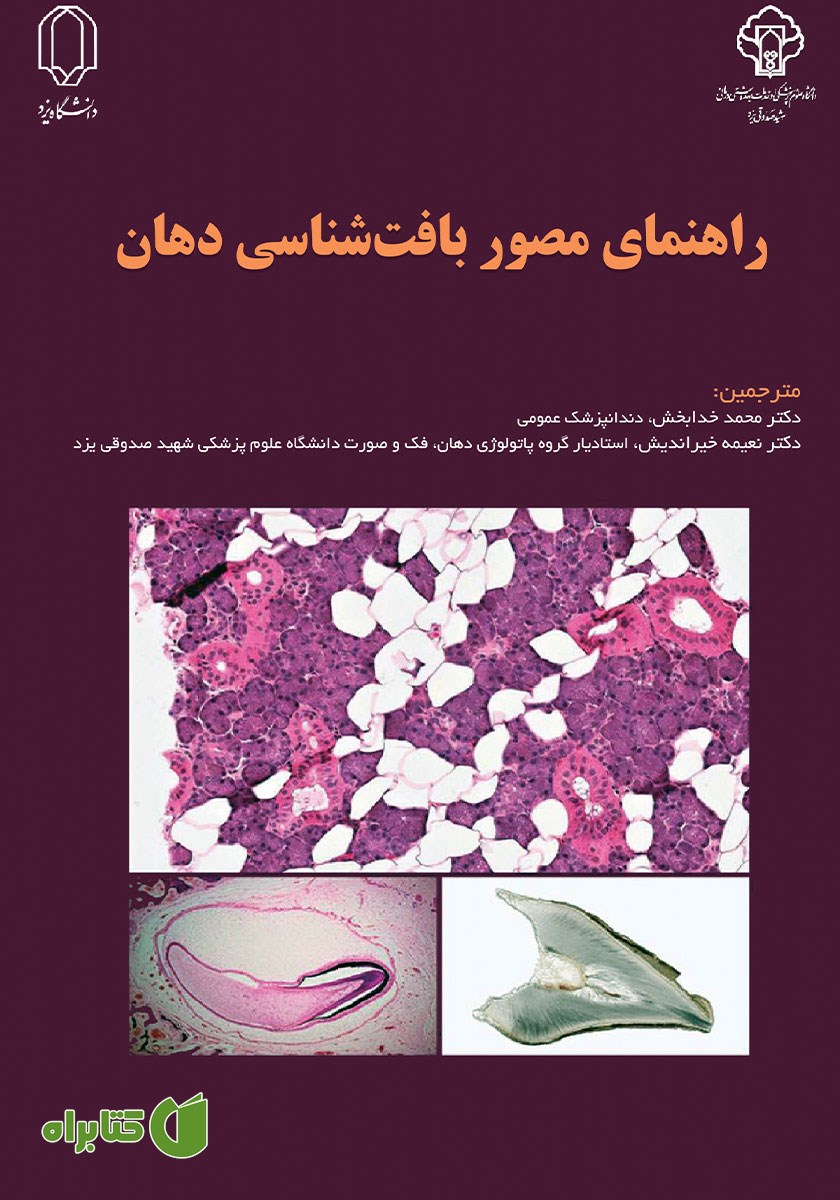 کتاب راهنمای مصور بافت شناسی دهان