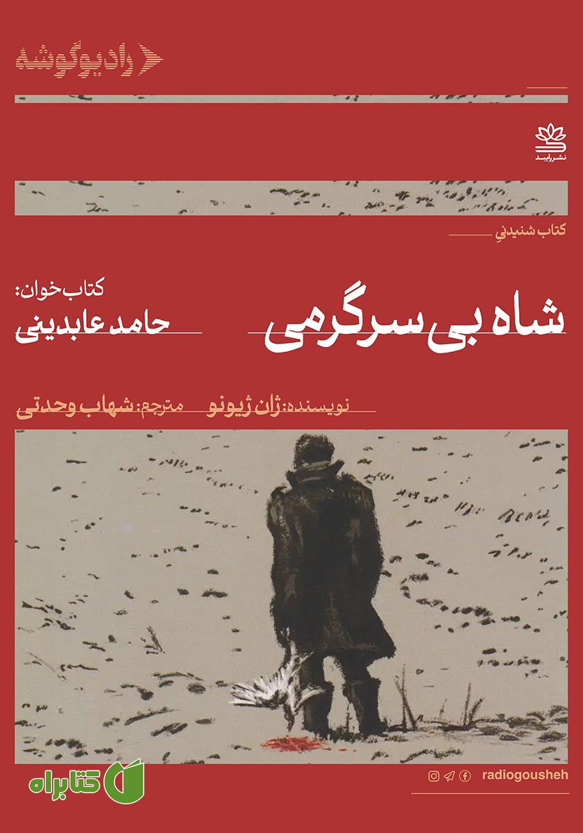کتاب صوتی شاه بی‌سرگرمی
