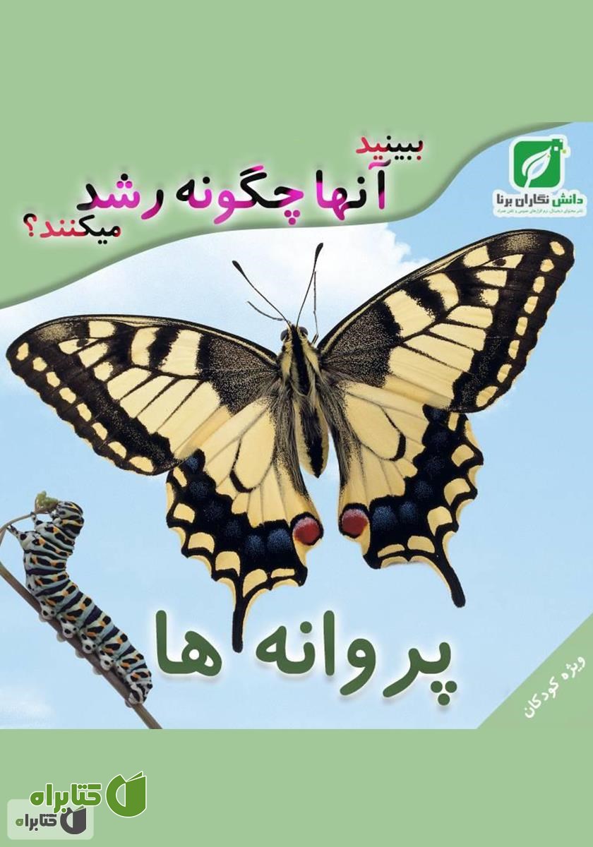 کتاب ببینید پروانه‌ها چگونه رشد می‌کنند؟