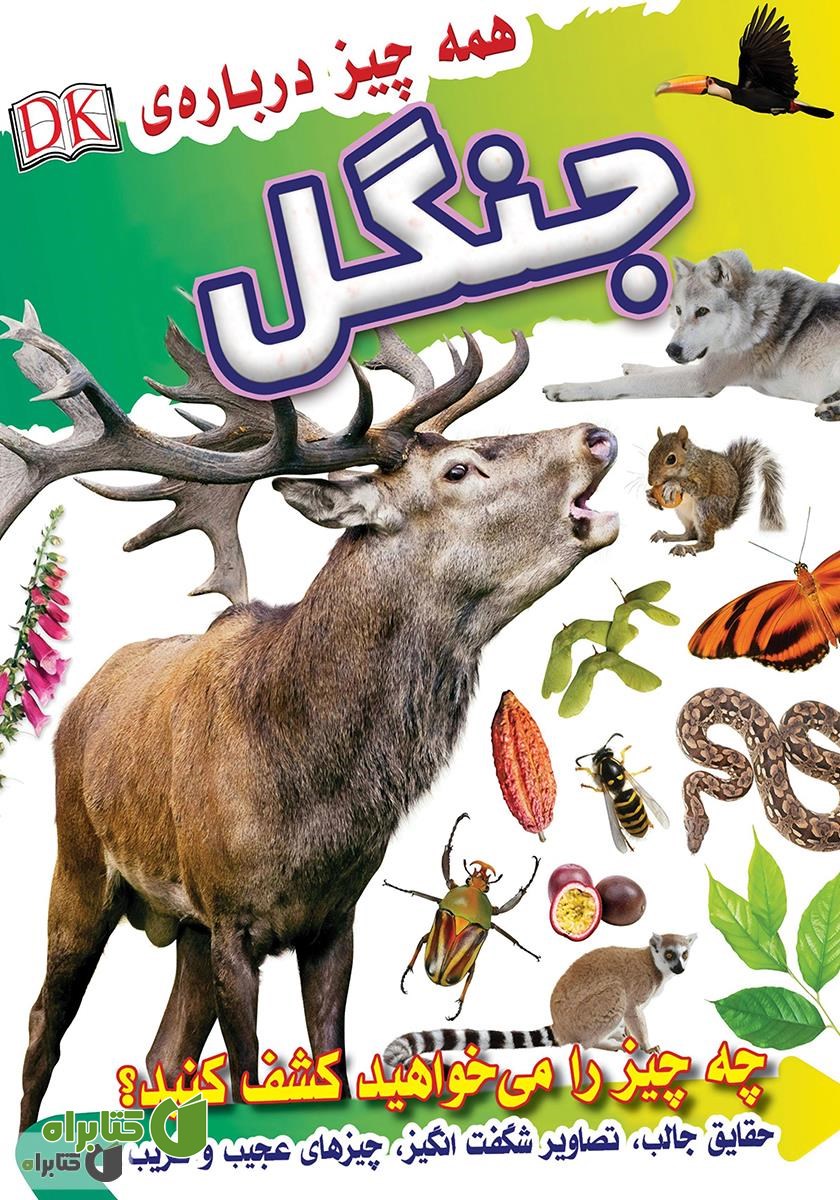 کتاب همه چیز درباره جنگل