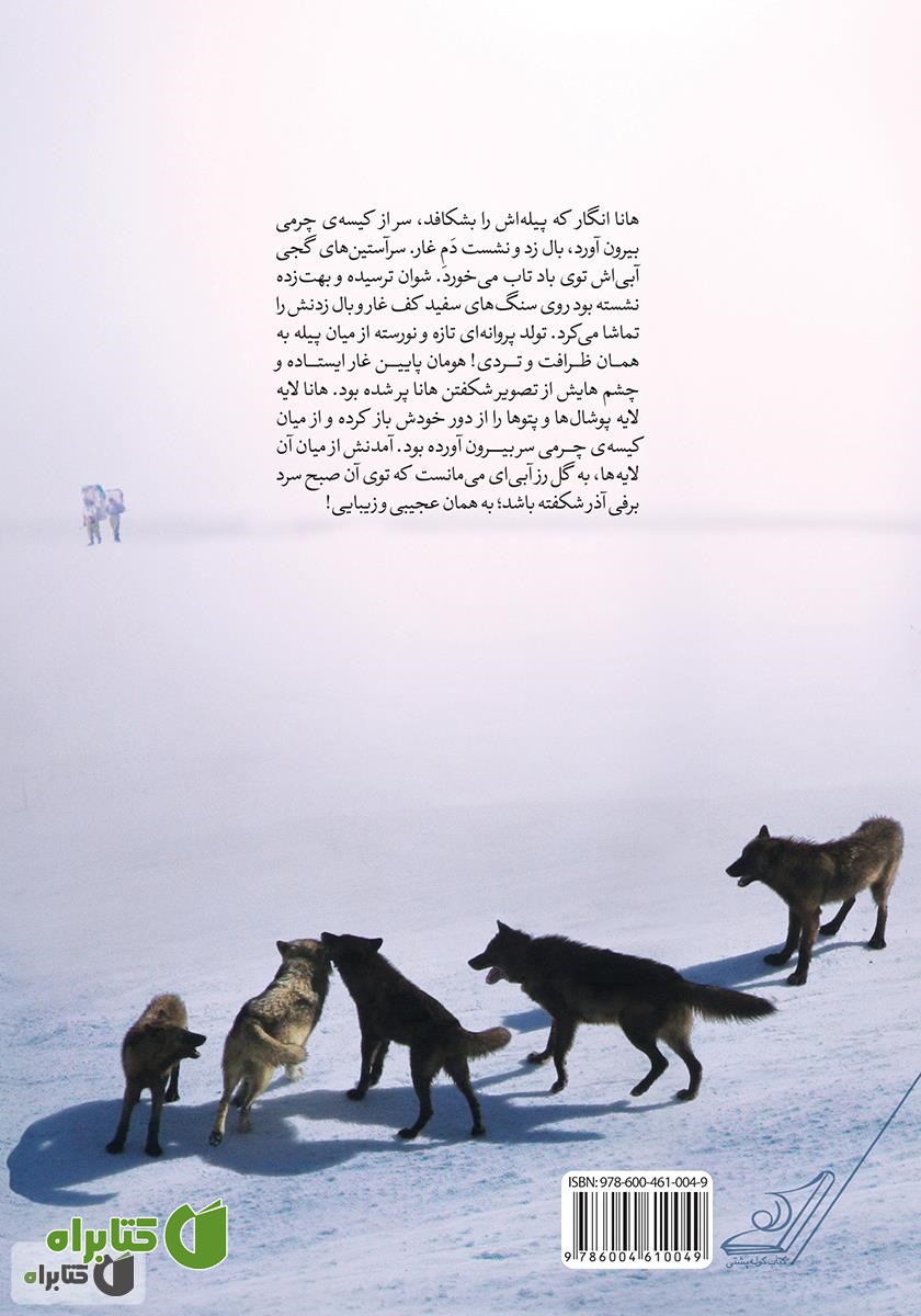 پشت جلد کتاب اینجا صدای گرگ‌ها بلندتر است