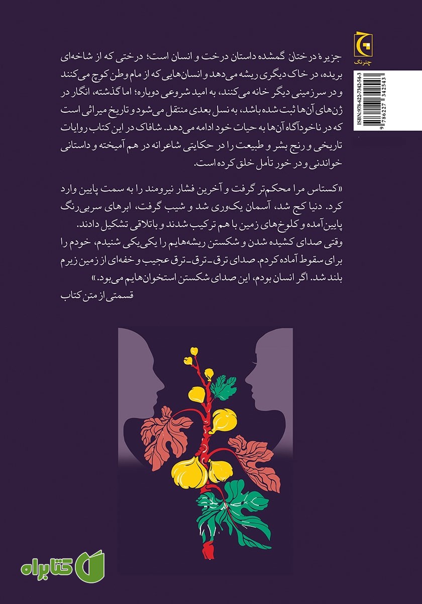 پشت جلد کتاب جزیره درختان گمشده