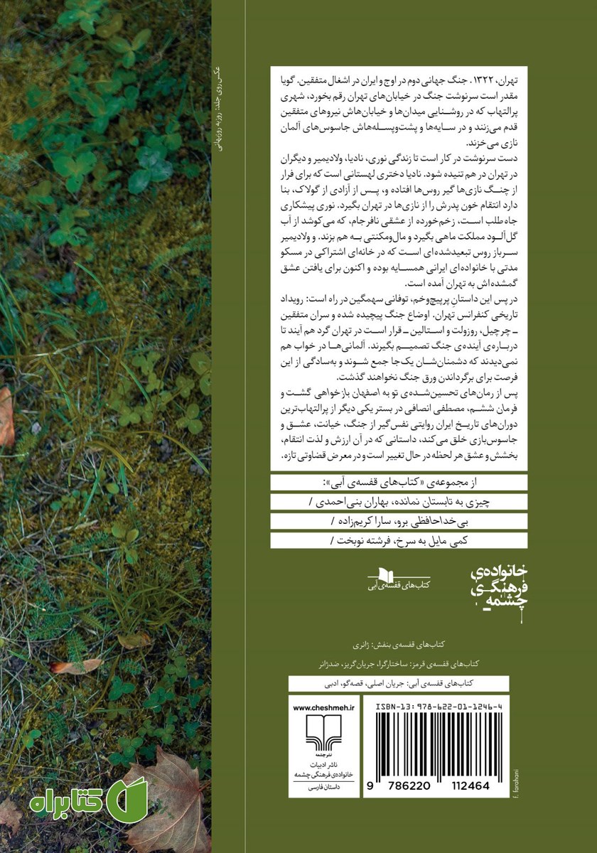 پشت جلد کتاب نوری، نادیا، ولادیمیر و دیگران