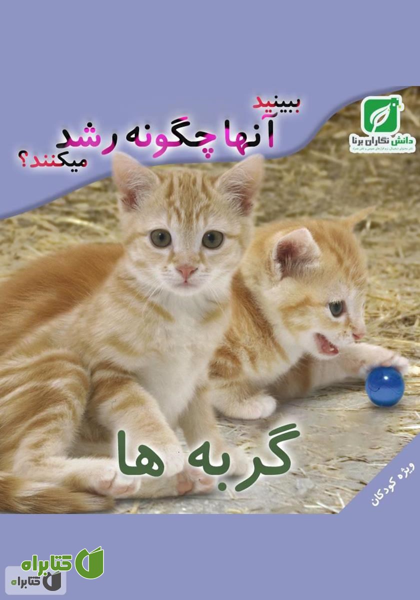 کتاب ببینید گربه‌ها چگونه رشد می‌کنند؟