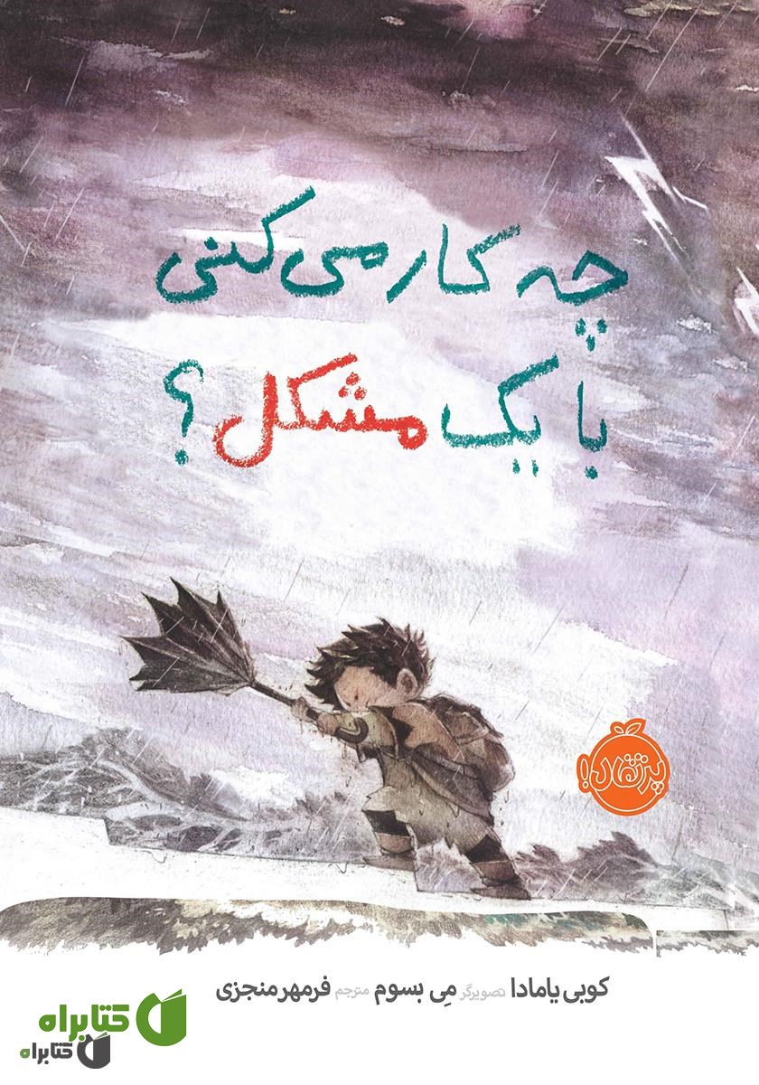 کتاب چه کار می‌کنی با یک مشکل؟