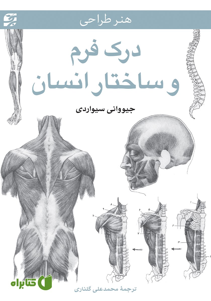 کتاب درک فرم و ساختار انسان