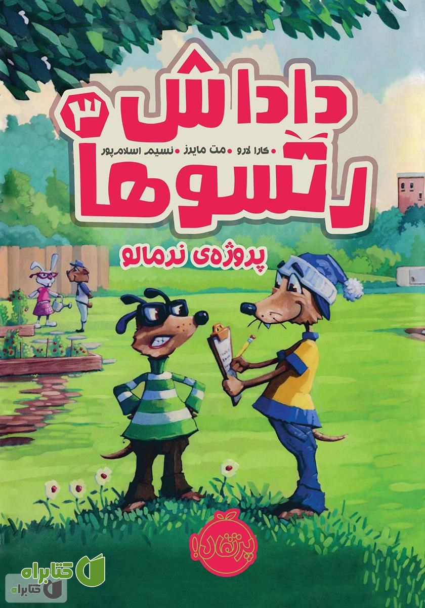 کتاب داداش رتسوها 3: پروژه‌ی نرمالو