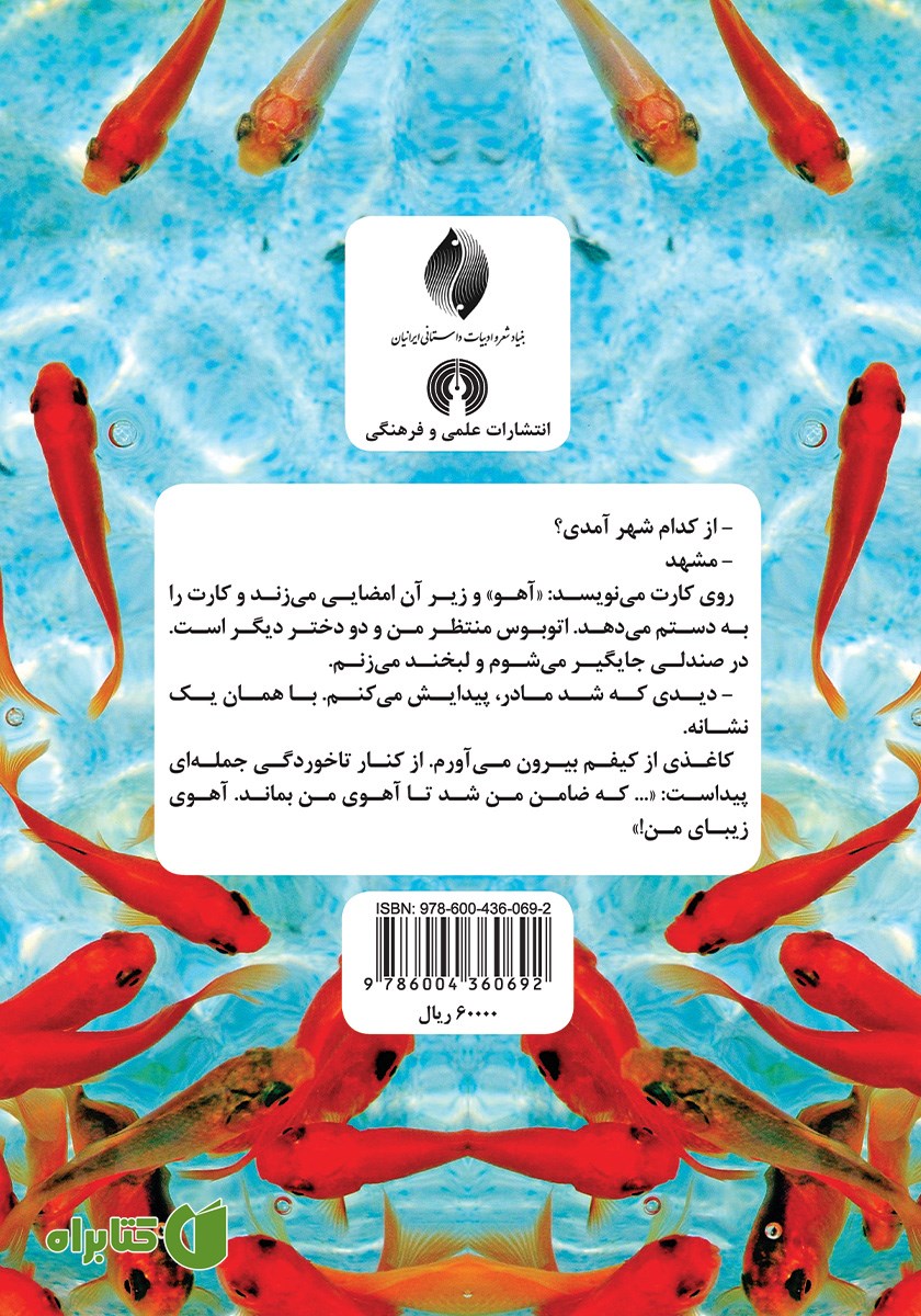 پشت جلد کتاب مردی پر از ماهی گلی و هشت داستان دیگر