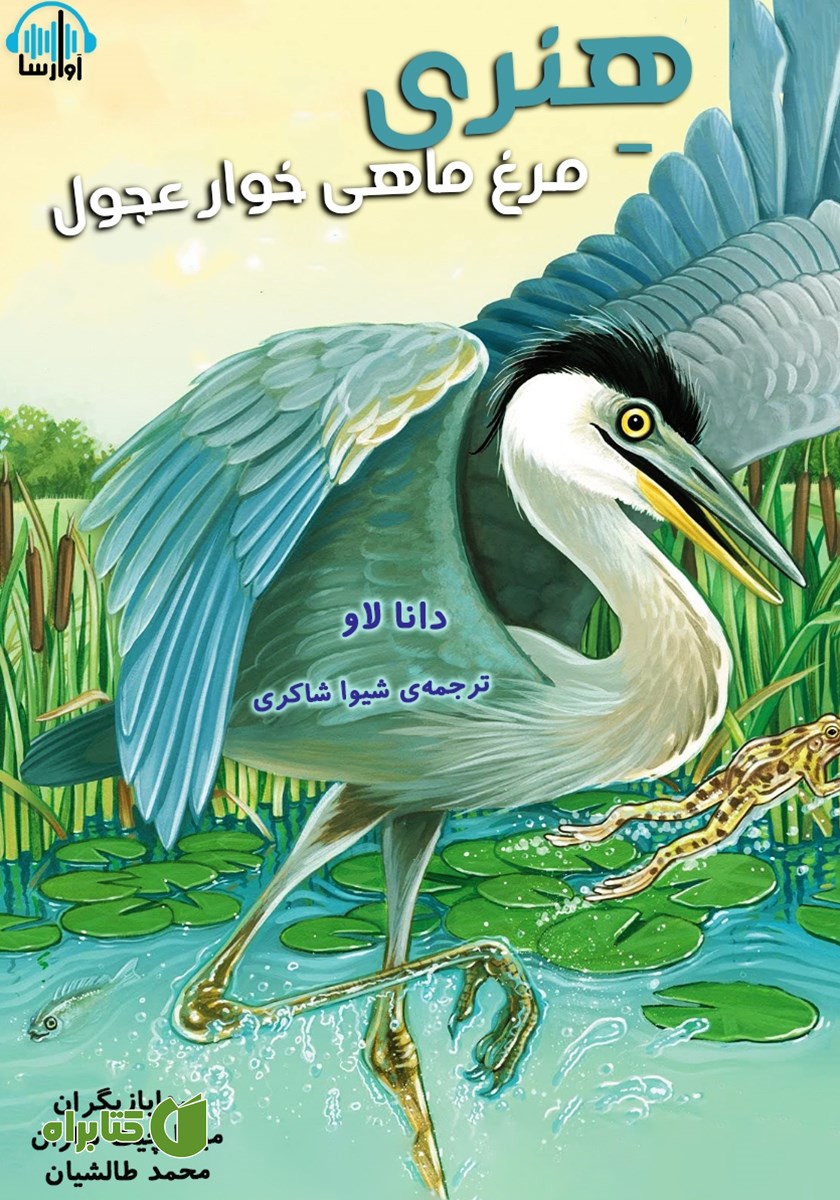 کتاب صوتی هنری، مرغ ماهی خوار عجول