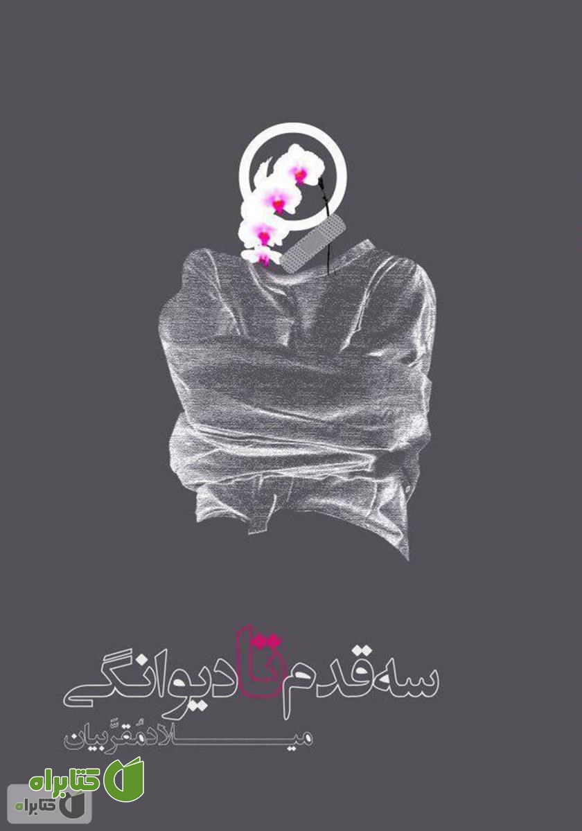 کتاب سه قدم تا دیوانگی