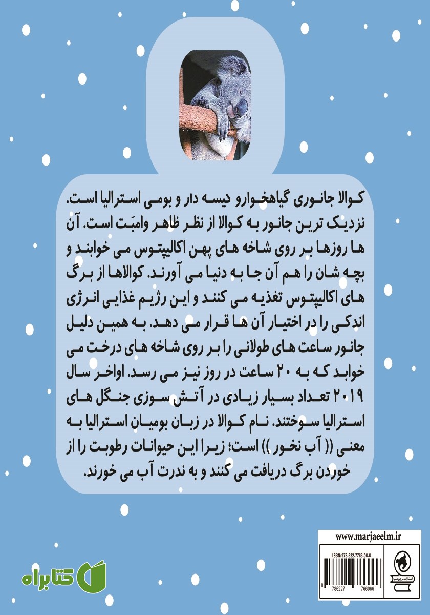 پشت جلد کتاب آرزوی کوالا کوچولو