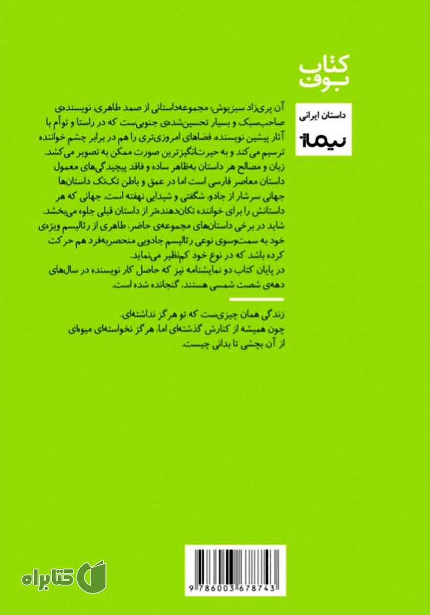 پشت جلد کتاب آن پری زاد سبزپوش