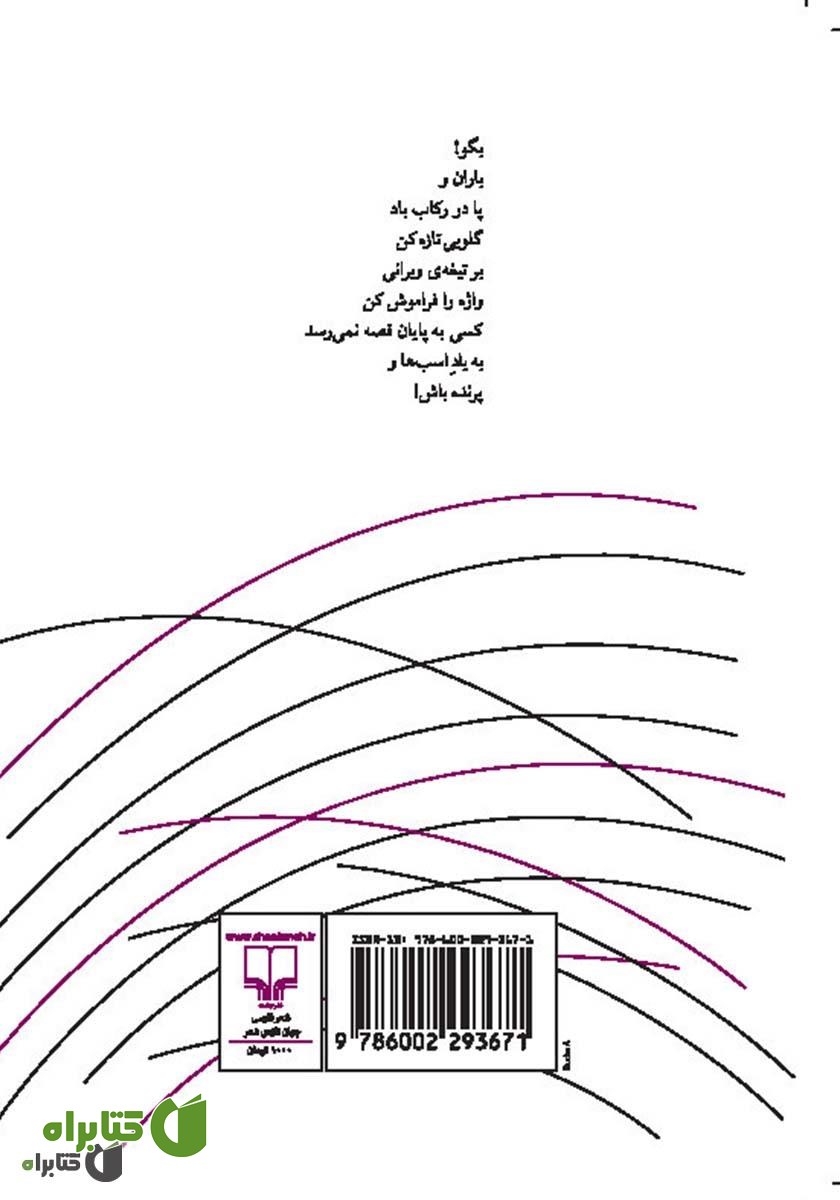 پشت جلد کتاب به یاد اسب‌ها و پرنده باش