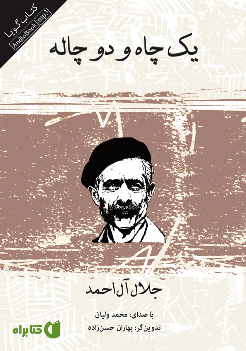 کتاب صوتی یک چاه و دو چاله