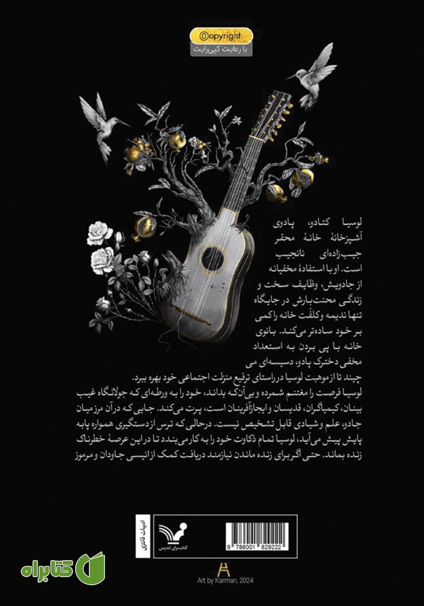 پشت جلد کتاب انیس