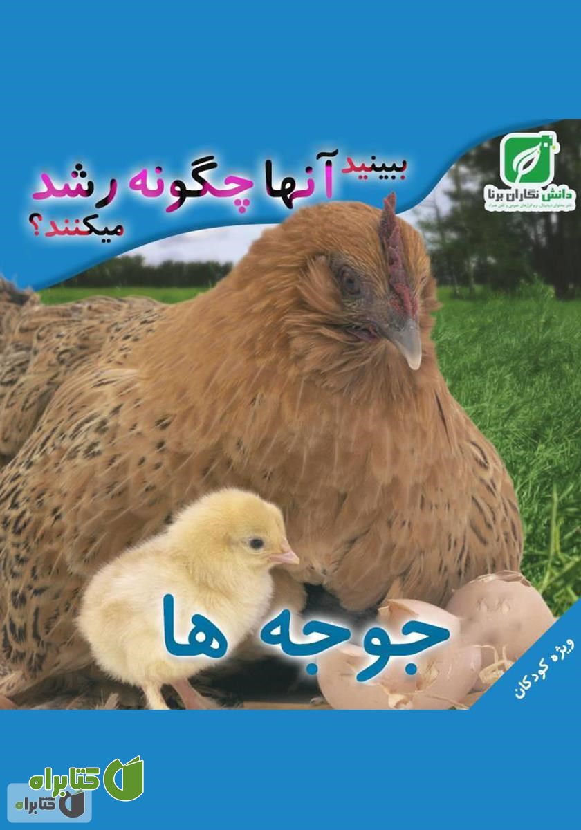 کتاب ببینید جوجه‌ها چگونه رشد می‌کنند؟