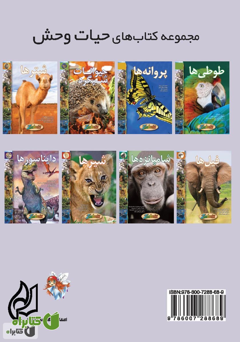 پشت جلد کتاب شامپانزه‌ها
