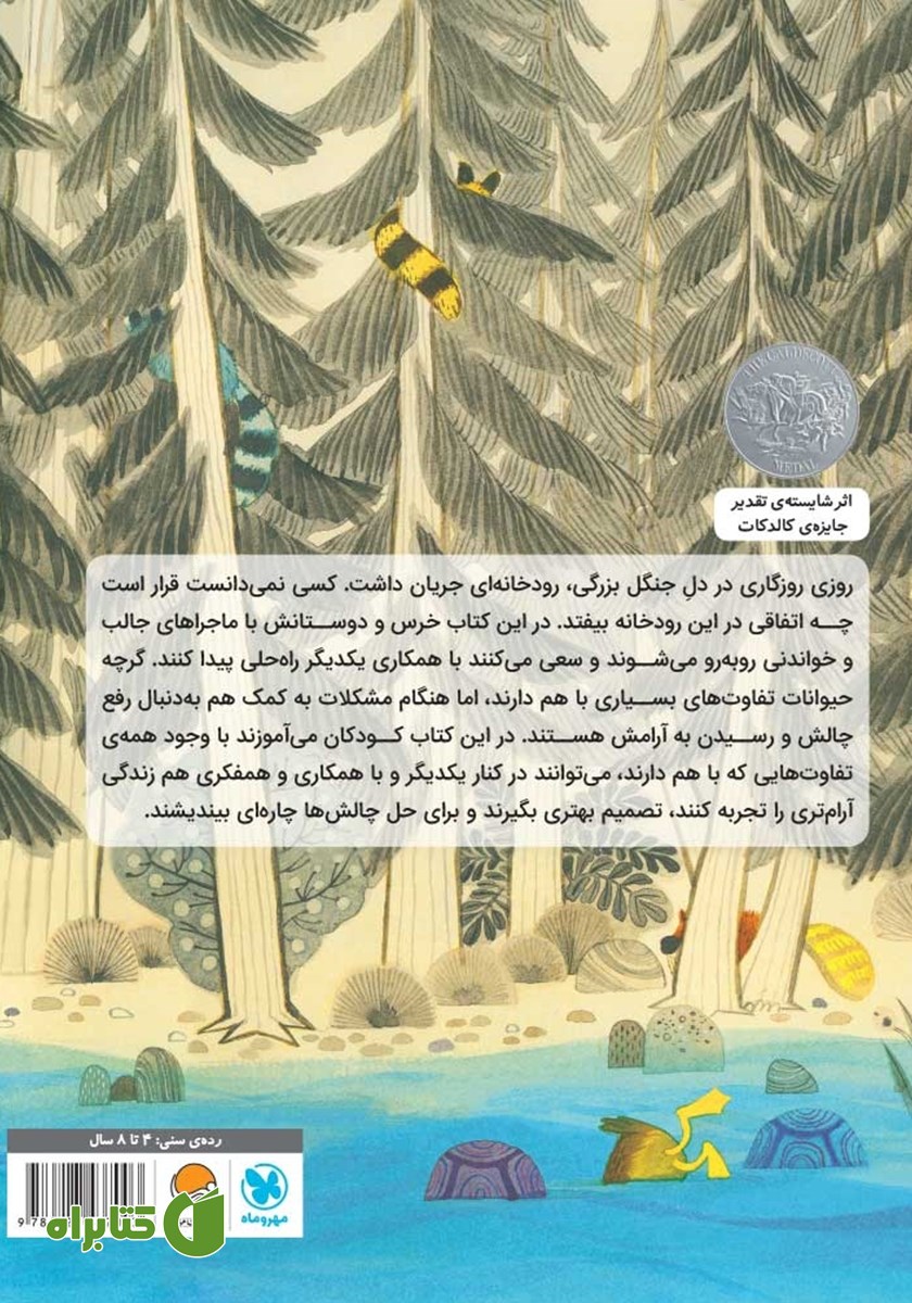 پشت جلد کتاب خرس از راه رسید