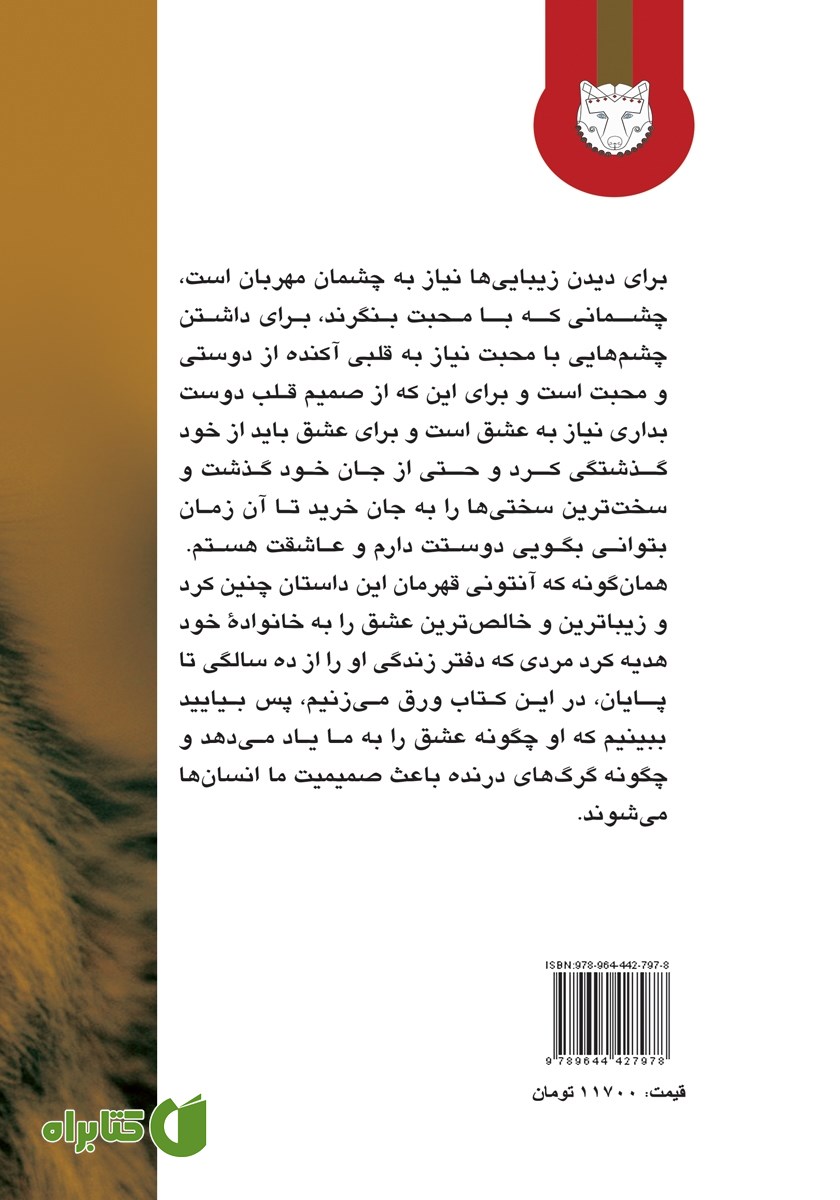 پشت جلد کتاب گرگ‌ها باعث صمیمیت می‌شوند