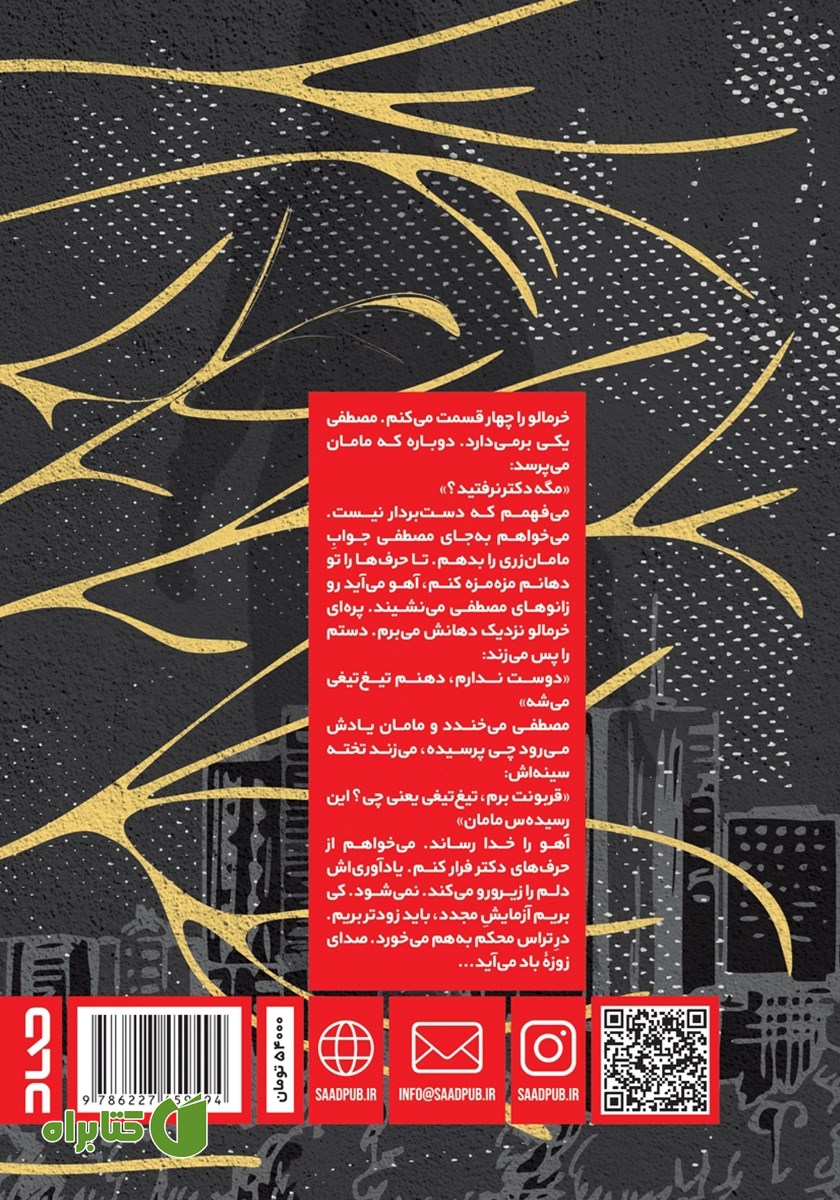 پشت جلد کتاب با تنهایی قدم می‌زنم