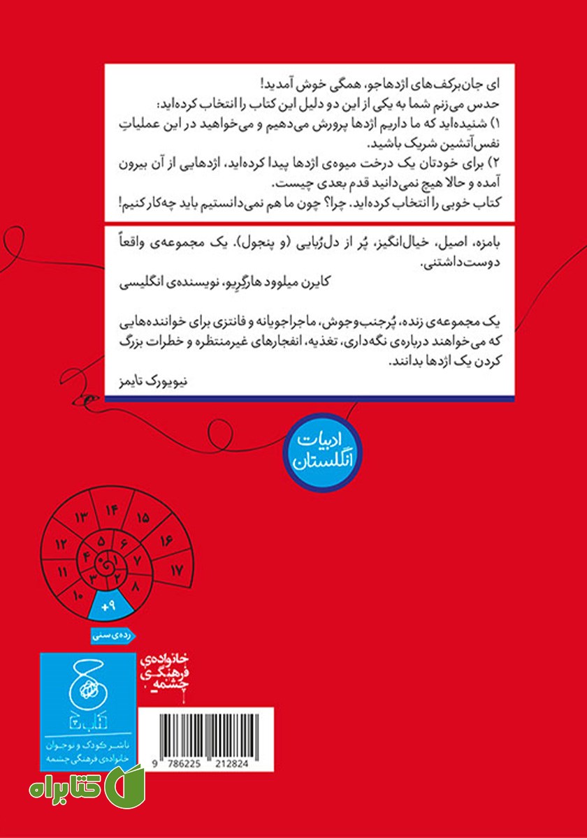 پشت جلد کتاب پسری که با اژدها زندگی می‌کرد 2
