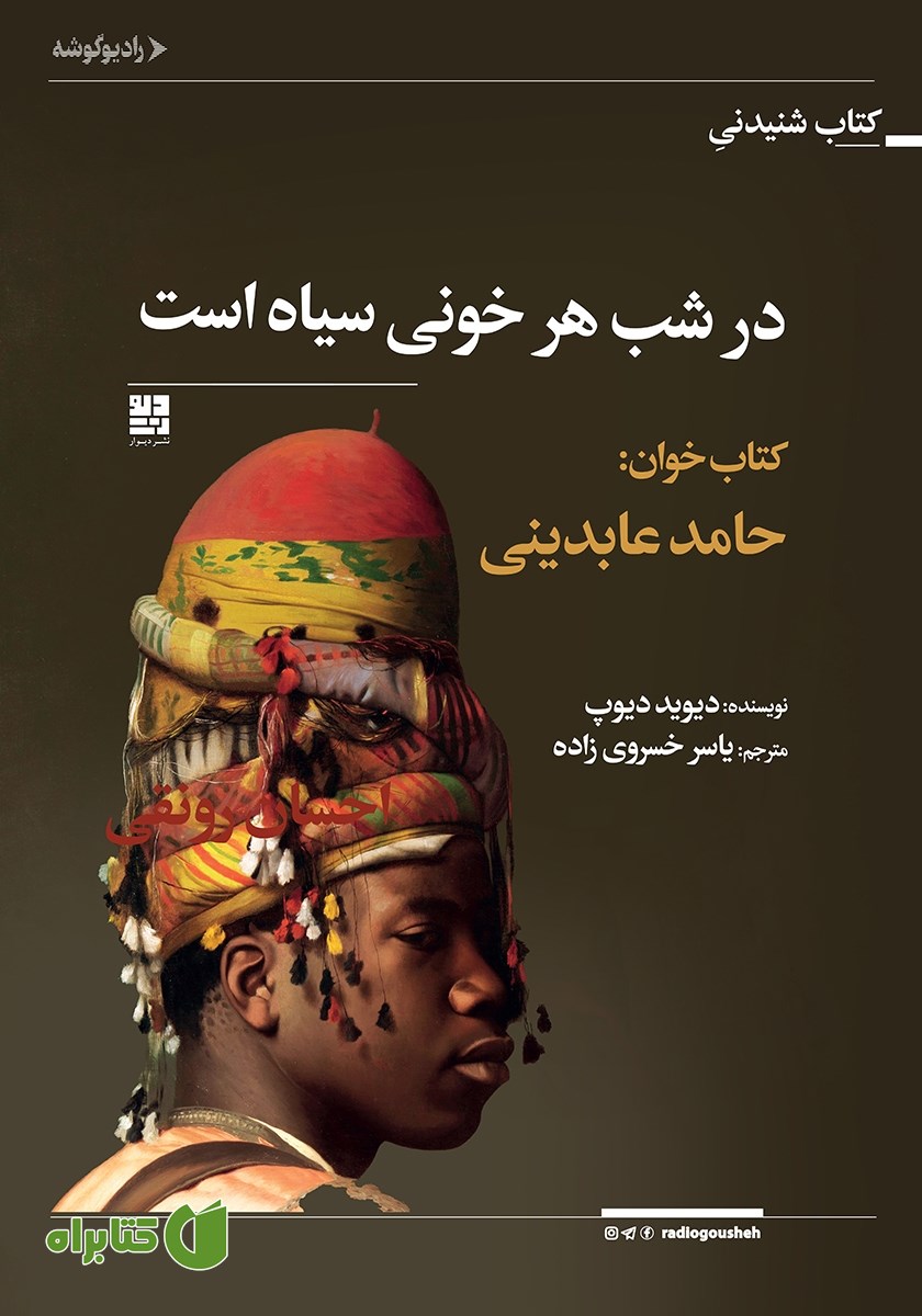 کتاب صوتی در شب هر خونی سیاه است