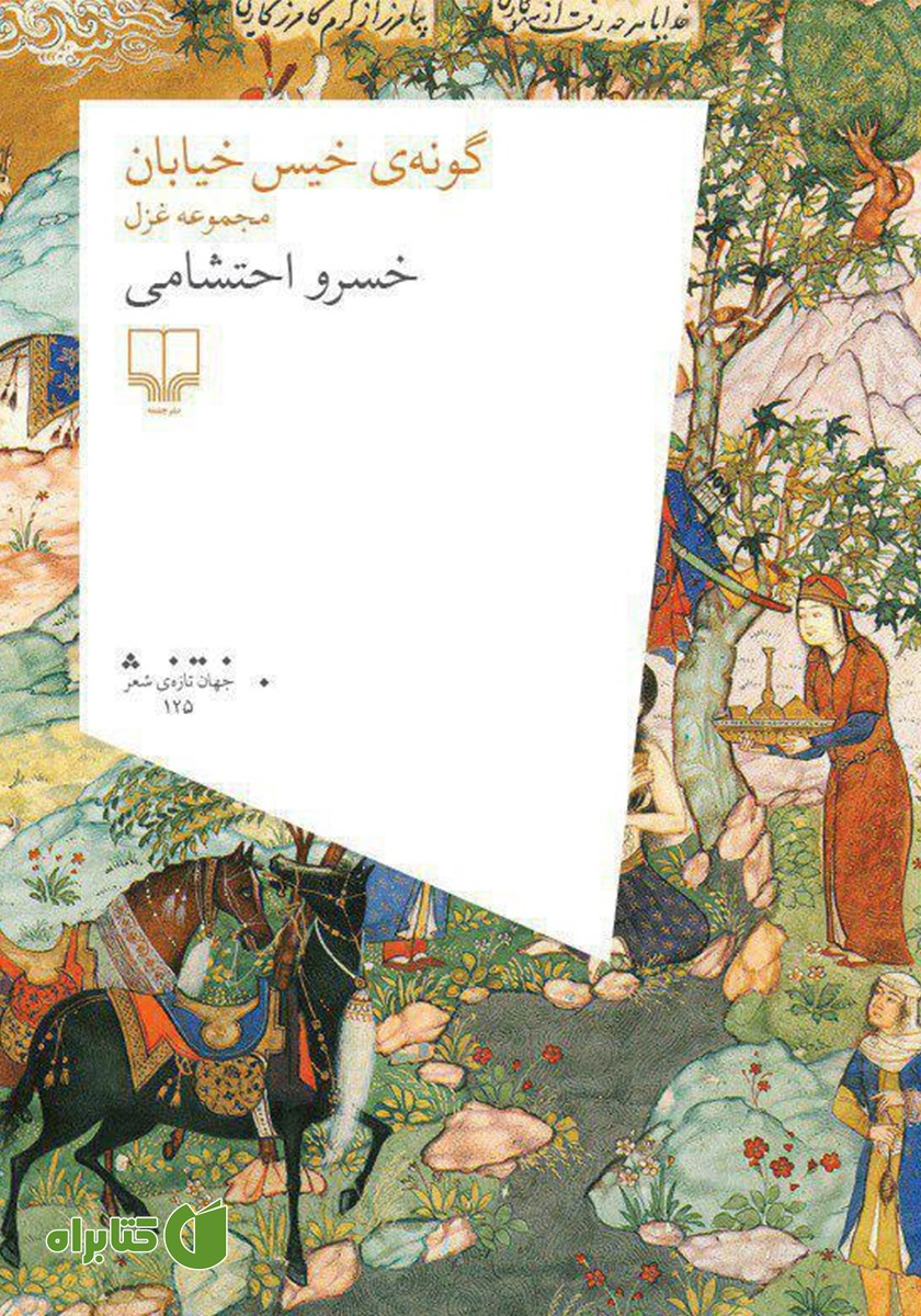 کتاب گونه‌ی خیس خیابان