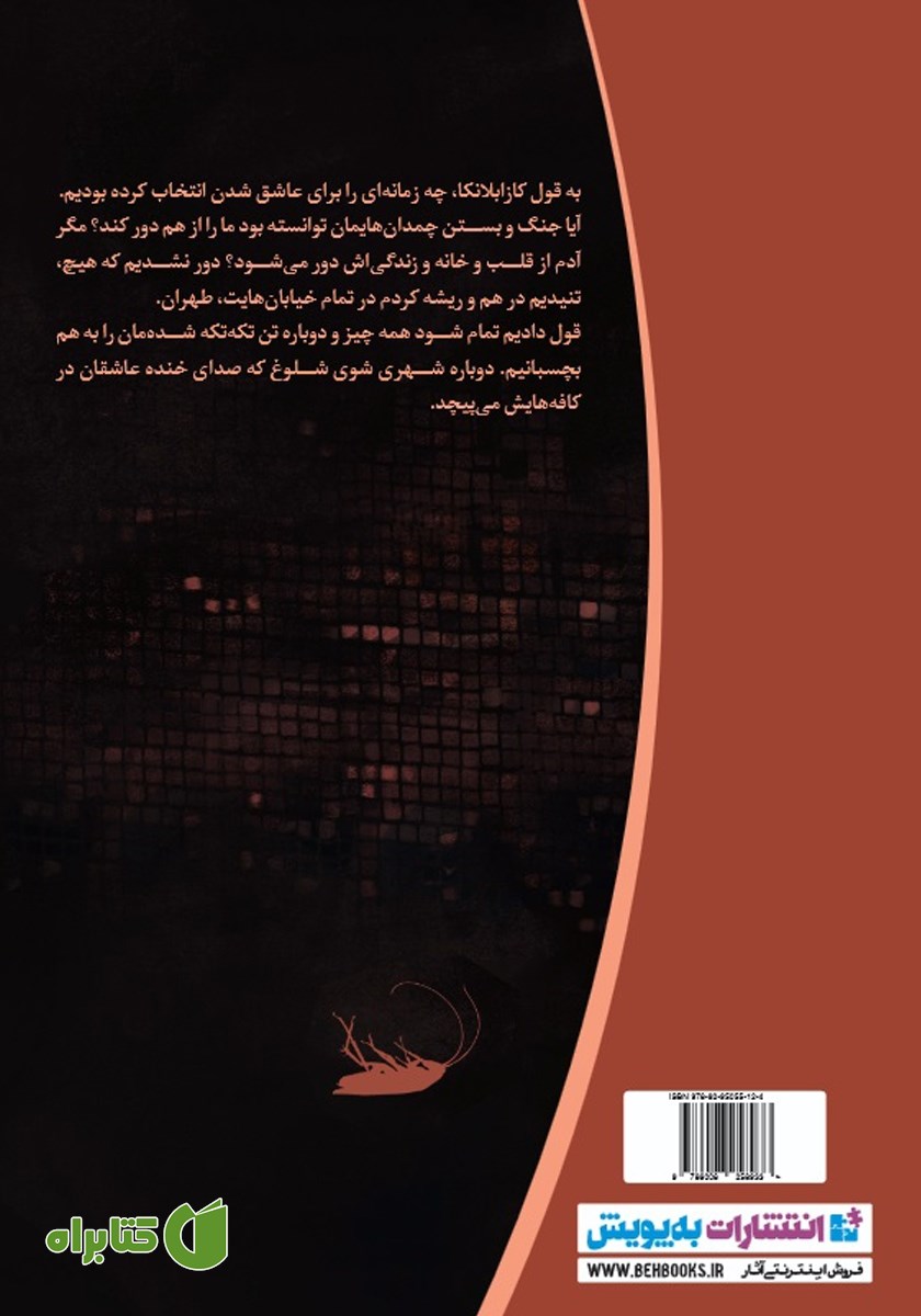 پشت جلد کتاب رادیوی غمگین