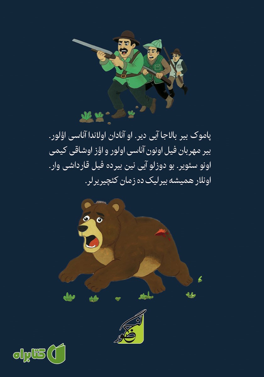 پشت جلد کتاب پاموک آیی
