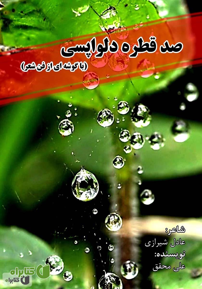 کتاب صد قطره دلواپسی (با گوشه‌ای از فن شعر)
