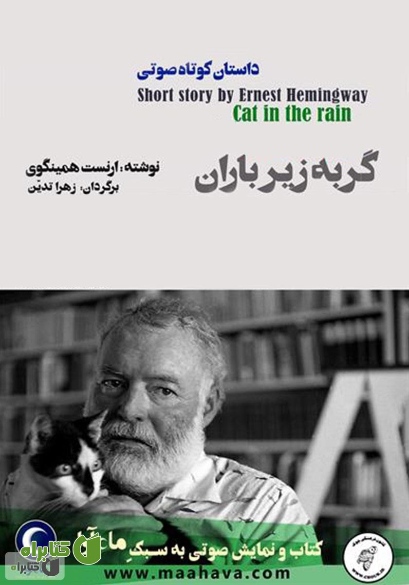 کتاب صوتی گربه زیر باران