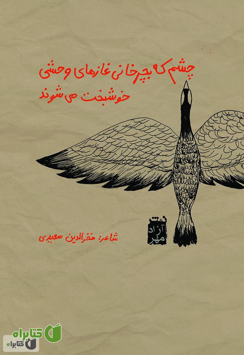 کتاب چشم که بچرخانی غازهای وحشی خوشبخت می شوند
