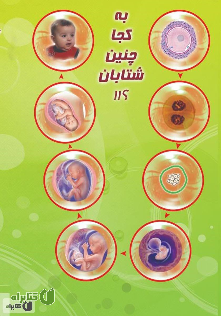 پشت جلد کتاب خاطرات یک جنین: رویکردی نو در جنین شناسی در قالب خاطره