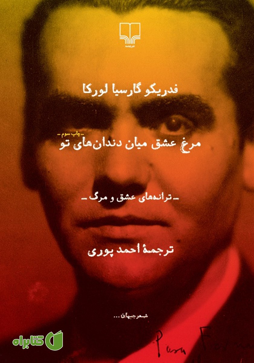 کتاب مرغ عشق میان دندان‌های تو