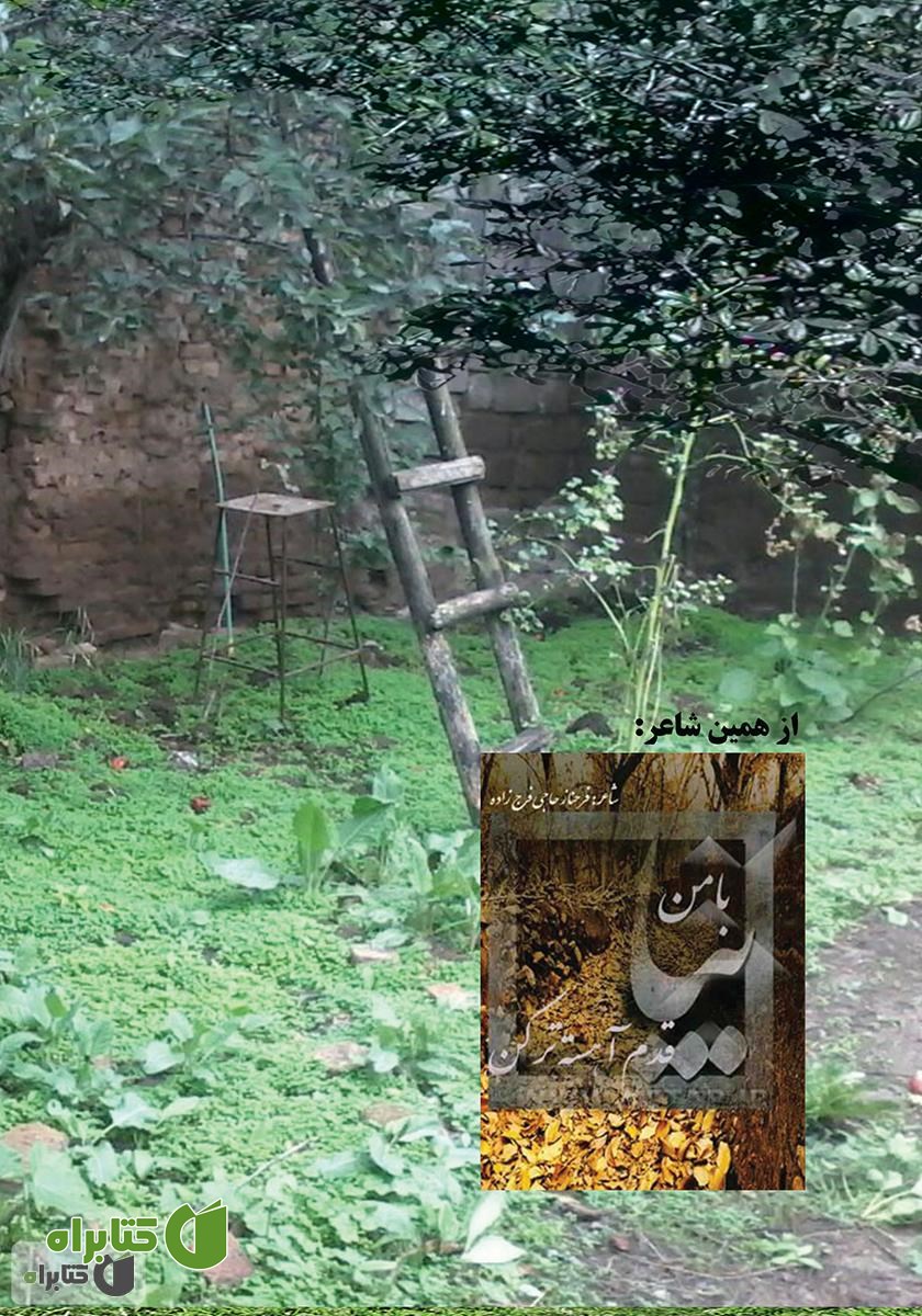 پشت جلد کتاب زندگی شاید بهتر از این باشد