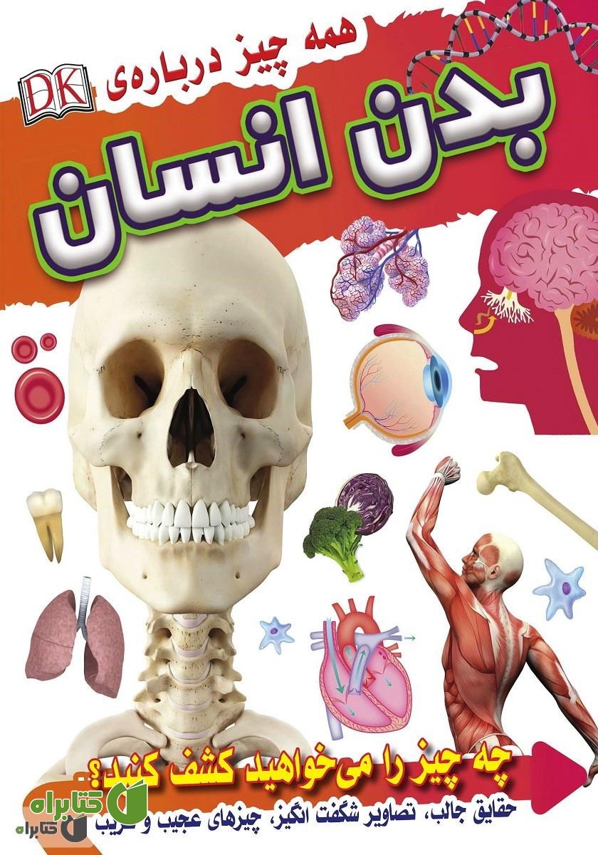 کتاب همه چیز درباره بدن انسان