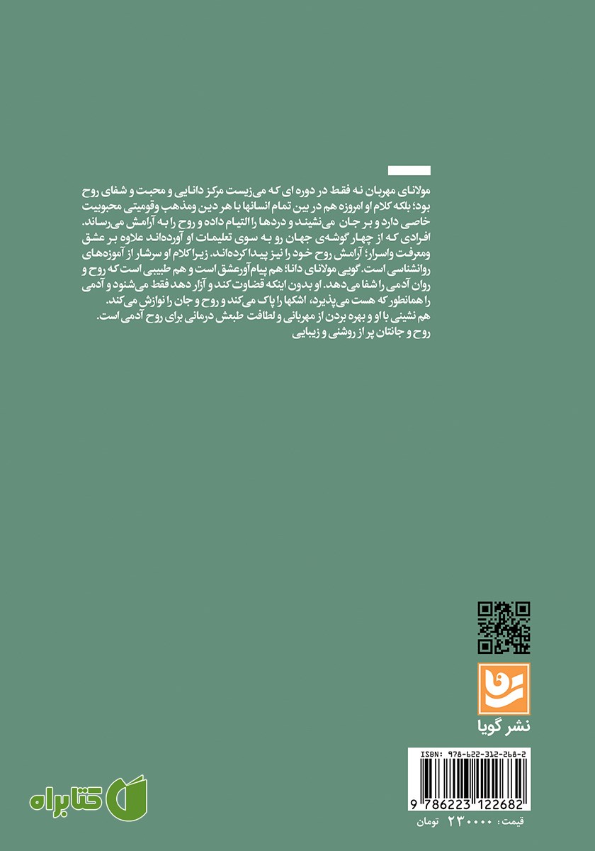 پشت جلد کتاب روح درمانی با مولانا