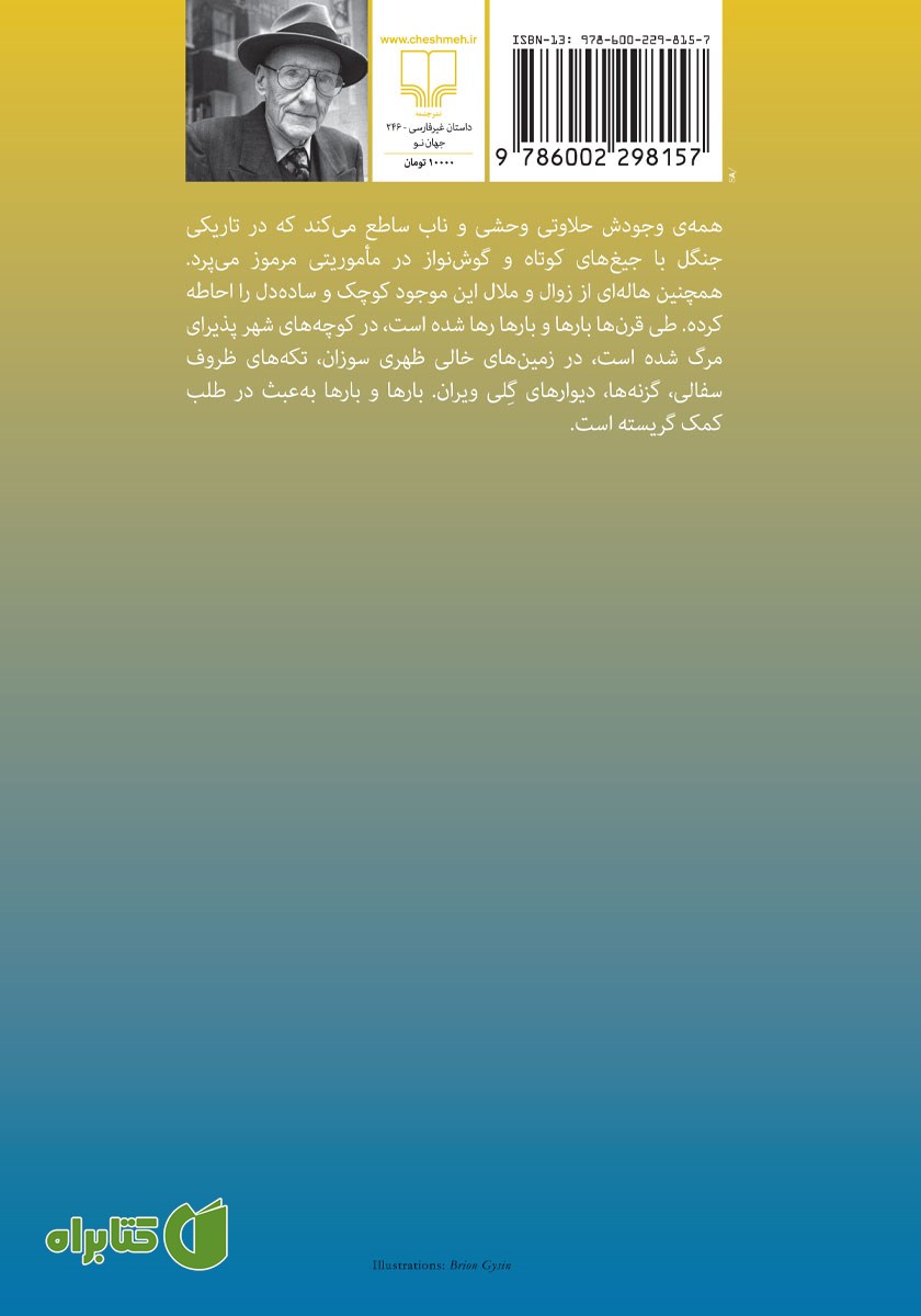 پشت جلد کتاب گربه درون