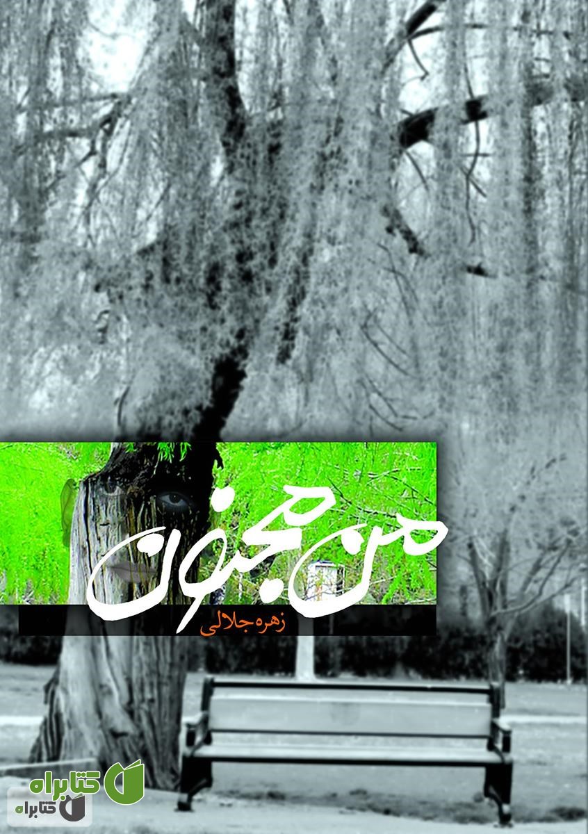 کتاب من مجنون