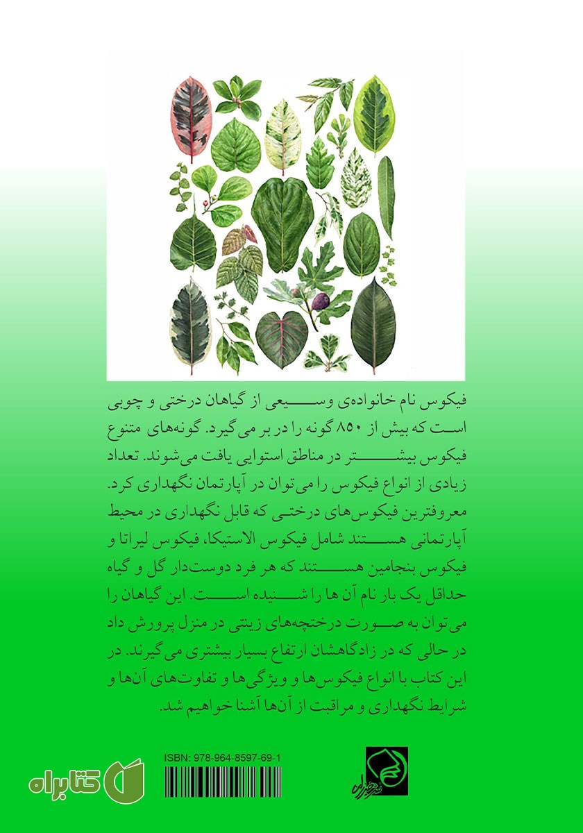 پشت جلد کتاب آموزش نگهداری از انواع گیاه فیکوس