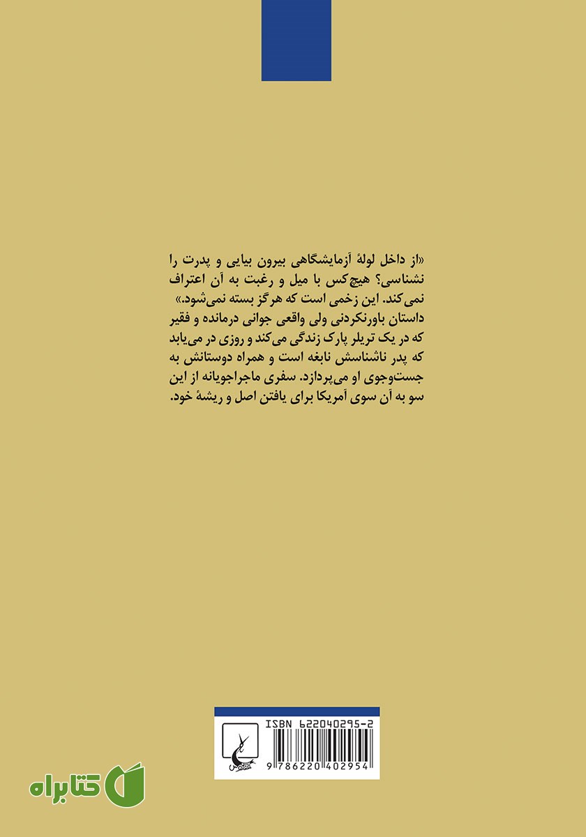 پشت جلد کتاب تقریبا نابغه