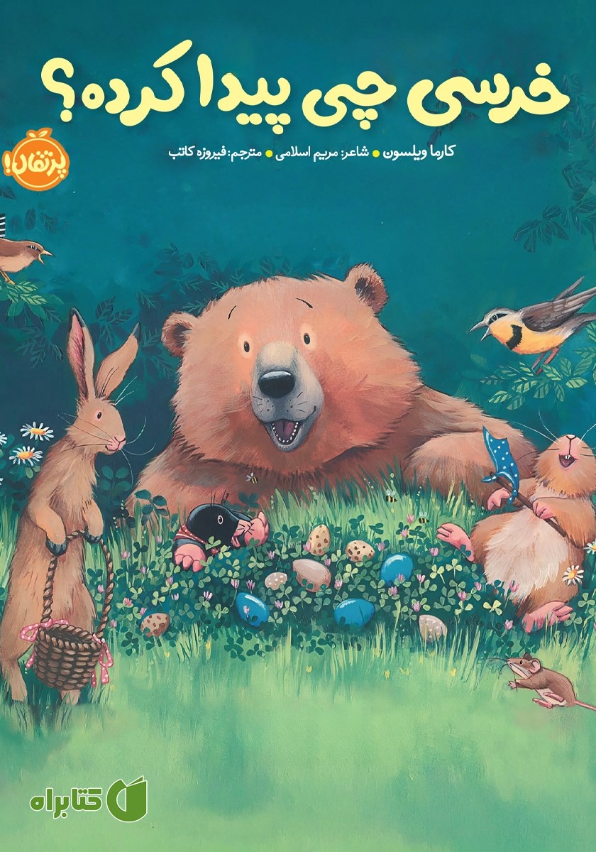 کتاب خرسی چی پیدا کرده؟